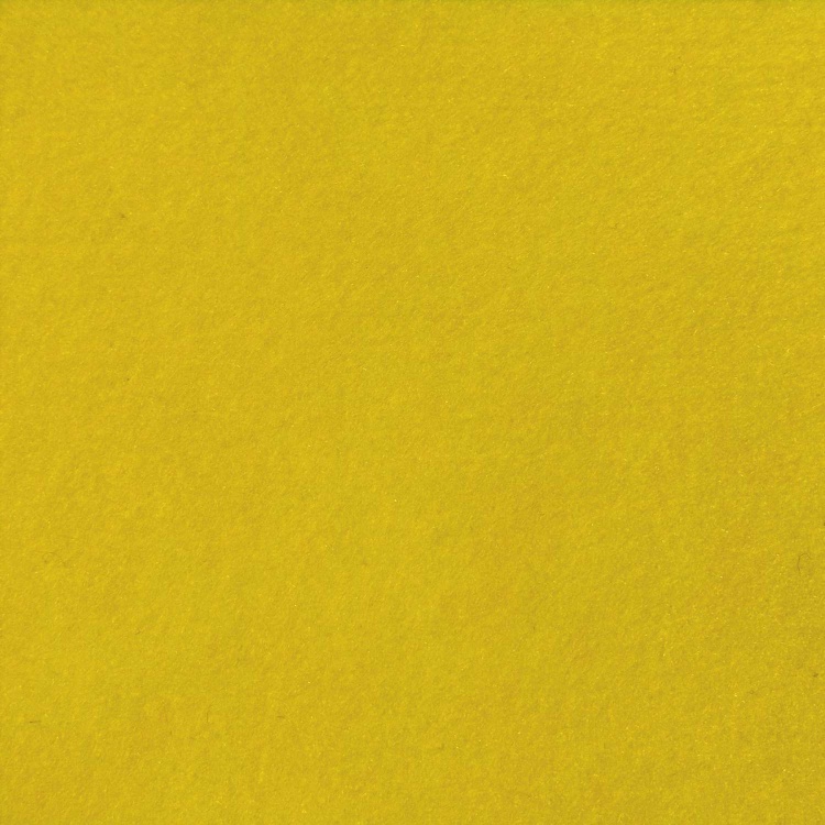 Solid Mustard Yellow Background Suitable for Graphic Design or Wallpaper