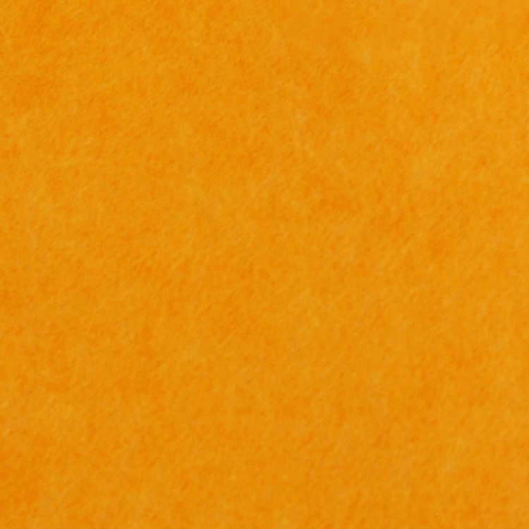 Close-Up of an Orange Textured Surface with Soft Details