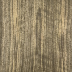 Close-Up of Abstract Wood Grain Texture in Monochrome