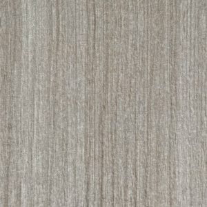 Smooth Birch on White