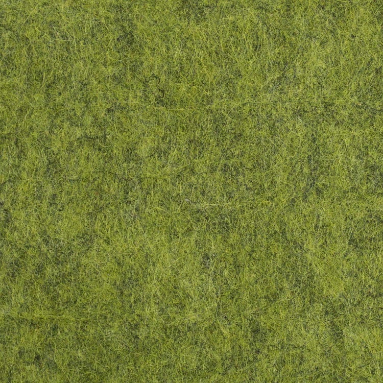 Close-Up View of Green Grass Texture, Suitable for Backgrounds or Wallpaper