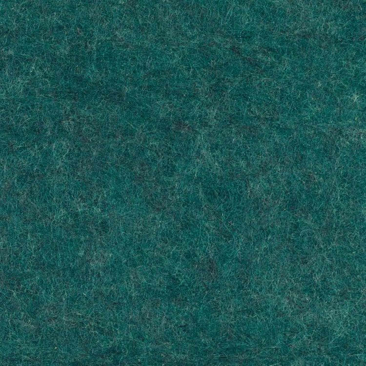 Close-Up of a Dark Green Textured Surface