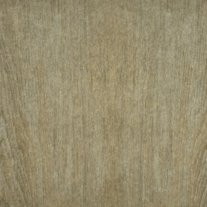 Textured Grey Wood Surface with Vertical Grain Patterns