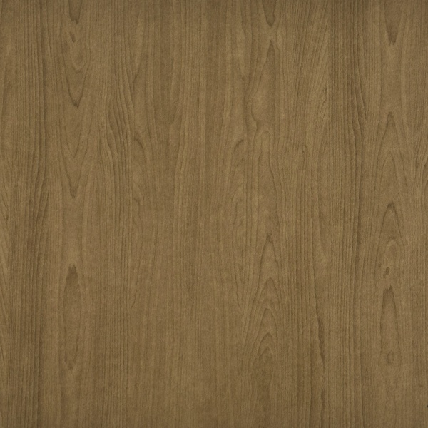 09P-53 Ash on Smokey Beige