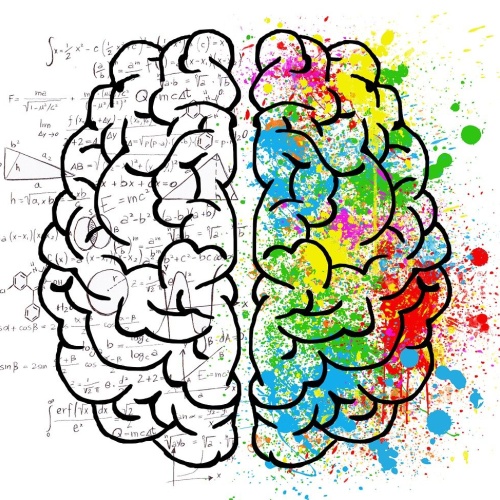 Artistic Representation of a Brain Divided into a Black and White Mathematical Left Side and a Colorful, Creative Right Side