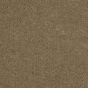 Light Brown Paper Texture with Visible Fibers and Minimal Marks