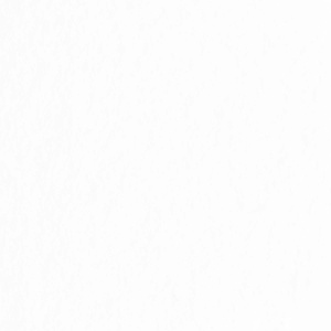 Blank White Background Suitable for Various Uses