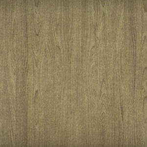 Gray Wood Texture Showing Natural Grain Patterns
