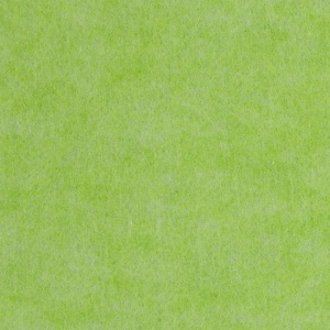 Close-Up of a Green Textured Surface with Subtle Variations