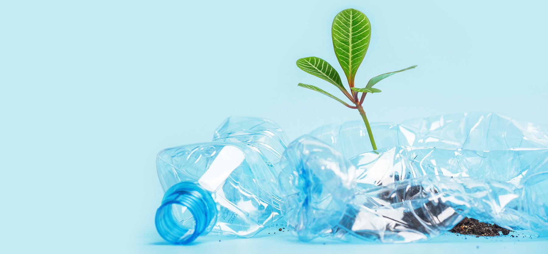 Bottle sustainability