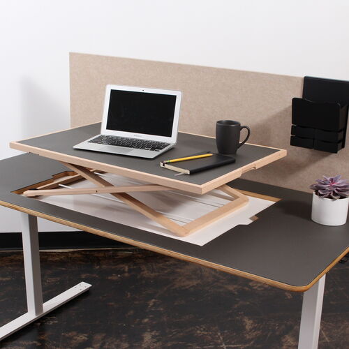 A Contemporary Workspace with an Adjustable Standing Desk, Laptop, Notebook, Mug, and Decorative Plant