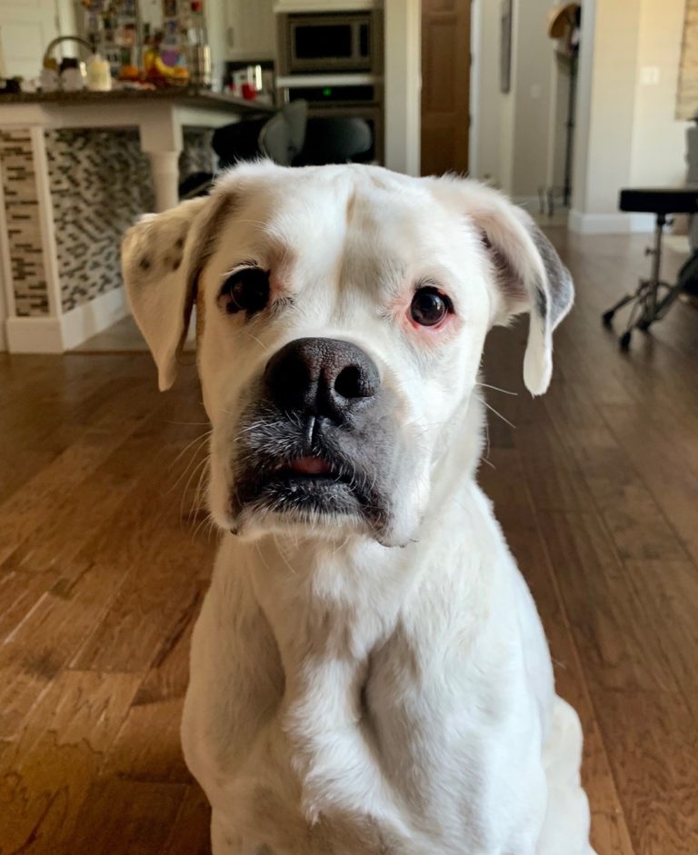 Our Workplace Pal – Jill